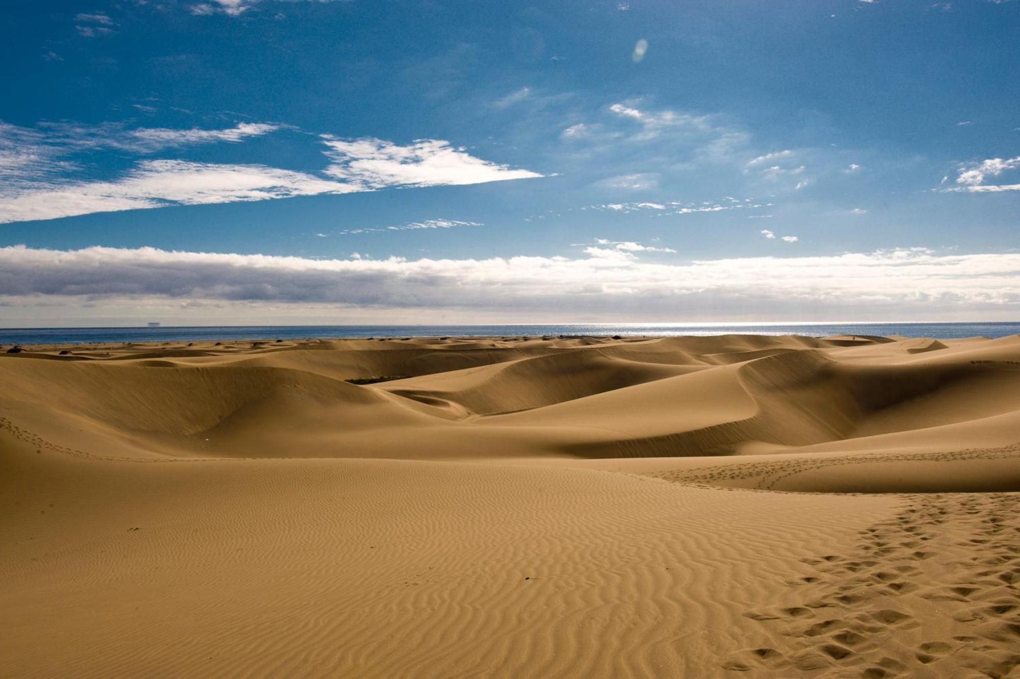 Leilighet Pool View In Playa Del Ingles *